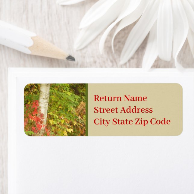 Étiquette Tronc d'arbre à bouleau (En situation)