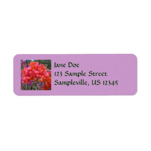 Étiquette Tropical Pink Bougainvillea Island Floral