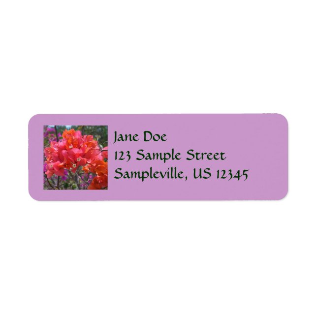 Étiquette Tropical Pink Bougainvillea Island Floral (Devant)