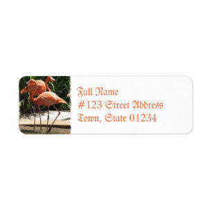 Étiquette Troupeau d'étiquette postale de Flamants roses