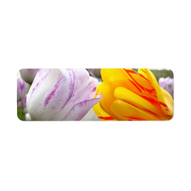 Étiquette Tulip Love (Devant)