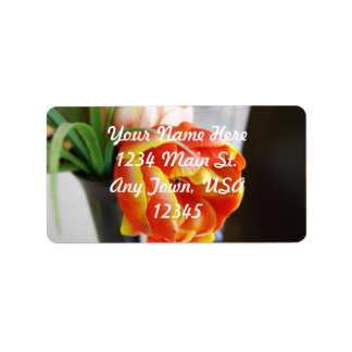 Étiquette Tulipe de soie