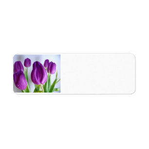 Étiquette Tulipe pourpre