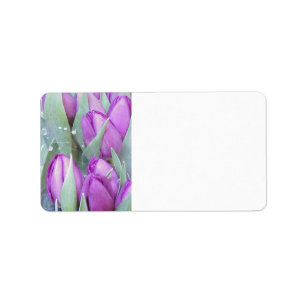 Étiquette Tulipes pourpres