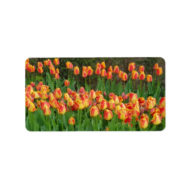 Étiquette Tulipes rouges (Devant)