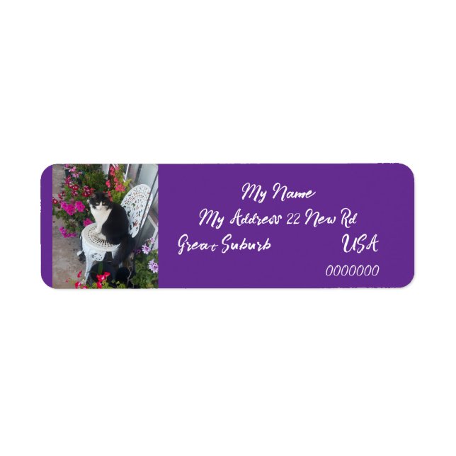 Étiquette Tuxedo cat Cats Art Return Address Labels Purple (Devant)