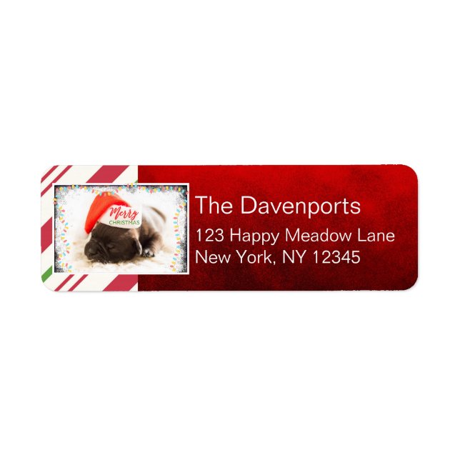 Étiquette Un beau Carlin de marionnettes dans un chapeau rou (Devant)