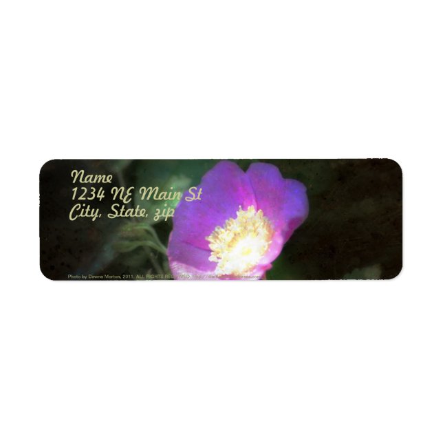 Étiquette une élégance rose à l'ancienne (Devant)