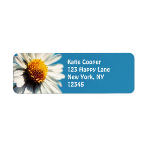 Étiquette Une pâtisserie blanche sous un ciel bleu