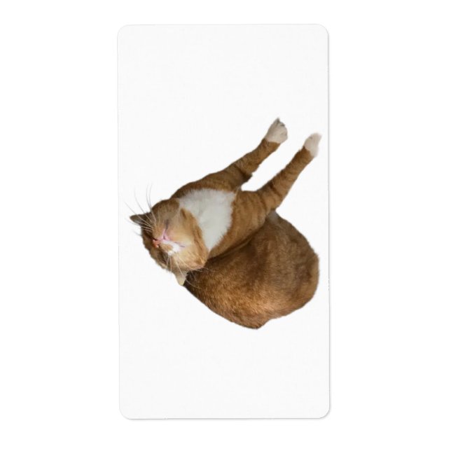 Étiquette Upside-Down Sunshine (Devant)