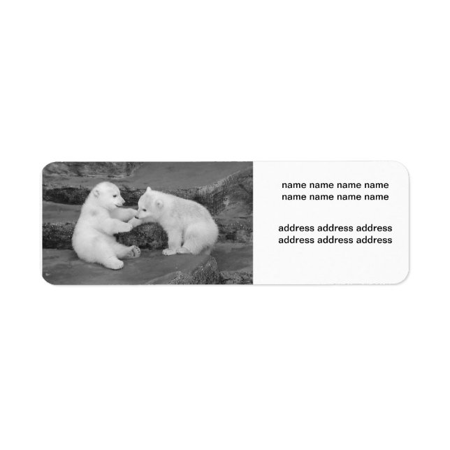 Étiquette Ursus maritime (Devant)