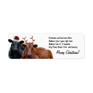 Étiquette Vaches à vacances de Noël dans le casquette et d