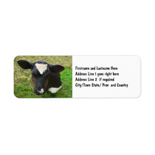 Étiquette Veau mignon de vache laitière