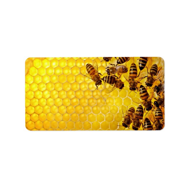 Étiquette Vendeur de miel Apiariste apiculteur (Devant)