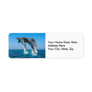 Étiquette Vers le haut des dauphins hauts hauts