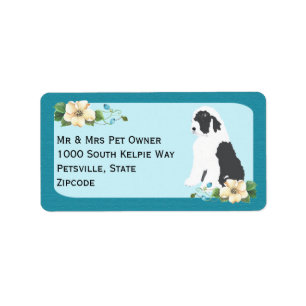 Étiquette Vieux chien de berger anglais sur la turquoise
