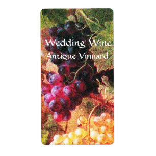 ÉTIQUETTE VILLE DE VIN VIGNOBLE VIN VIGNOBLE FÊTE DE DÉGUSTA