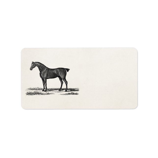 Étiquette Vintage 1800 Anglais Chasseur Cheval Chasse Cheval (Devant)