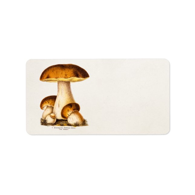 Étiquette Vintage 1800 s Mushroom Edible Mushrooms (Devant)
