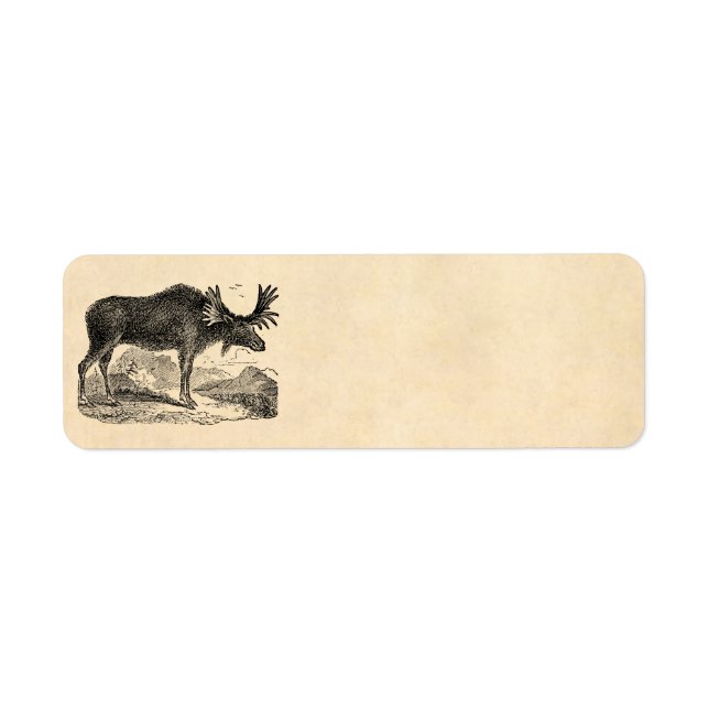 Étiquette Vintage 1800s American Moose Illustration Modèle (Devant)