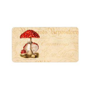Étiquette Vintage 1800s Champignons rouges Modèle