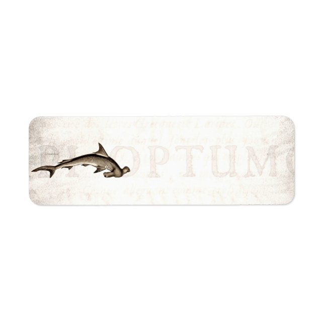 Étiquette Vintage 1800s Hammerhead Shark Old Hammer Head (Devant)