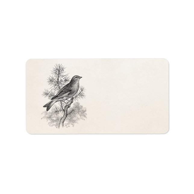 Étiquette Vintage 1800s Rose Linnet Song Bird Finch Birds (Devant)