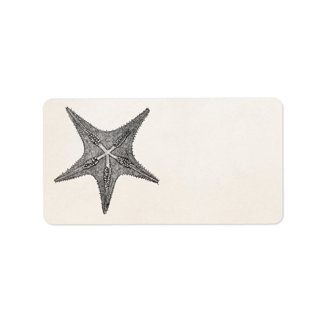 Étiquette Vintage Starfish Antique Star Poisson Modèle (Devant)