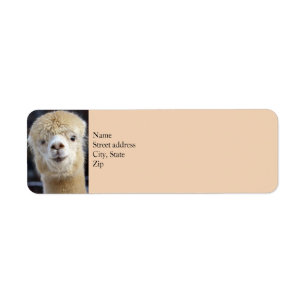 Étiquette Visage d'alpaca mignon