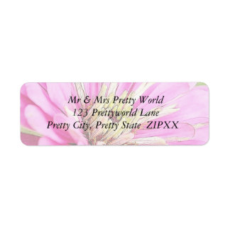 Étiquette Vue rapprochée d'une délicate zinnia rose