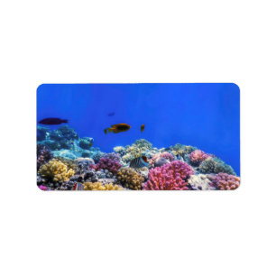 Étiquette Vue sous-marine sur la barrière de corail, Eaux tr