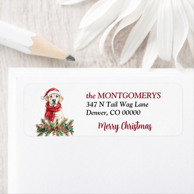 Étiquette Yellow Labrador Retriever Pine Bough Christmas (En situation)