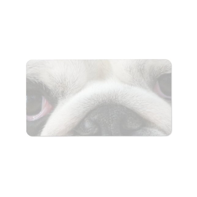 Étiquette Yeux de Bouledogue (Devant)