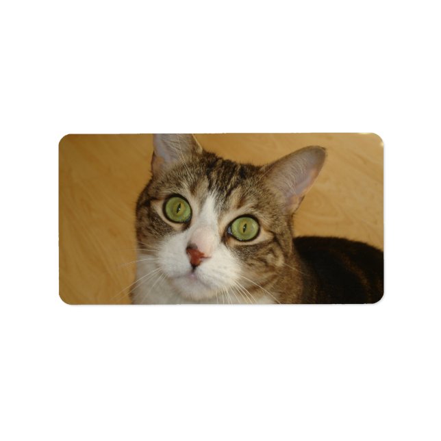 Étiquette Yeux de chat (Devant)