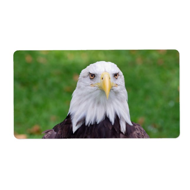Étiquette Yeux d'un aigle (Devant)