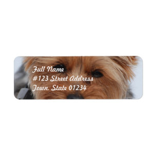 Étiquette Yorkie Mailing Labels