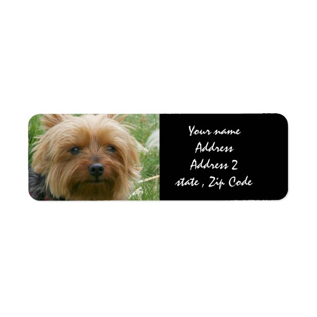 Étiquette Yorkshire Terrier (Devant)