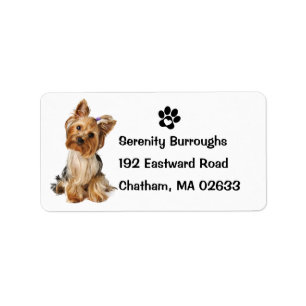 Étiquette Yorkshire Terrier Chien Chien Chien Chien Cote Yor