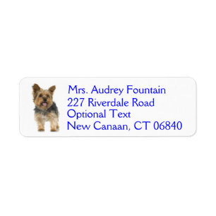 Étiquette Yorkshire Terrier Puppy Dog Return Adresse Label