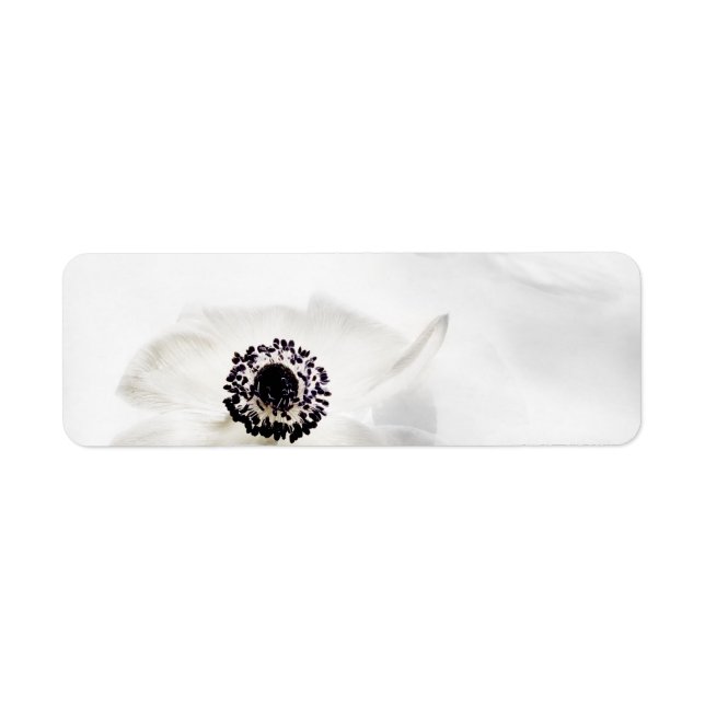 Étiquette Zen High Key White Anemone sur Arrière - plan d'ea (Devant)