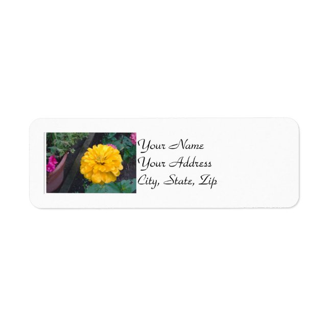 Étiquette Zinnia jaune (Devant)