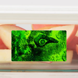 Étiquettes à la recherche de vert