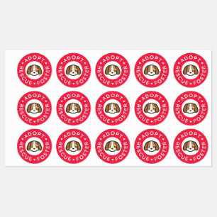 Étiquettes Adopter, Secourir, Promouvoir   Bandaid de chien m