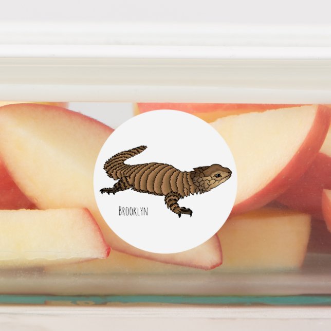 Étiquettes Armadillo girdled lizard (Apposé)