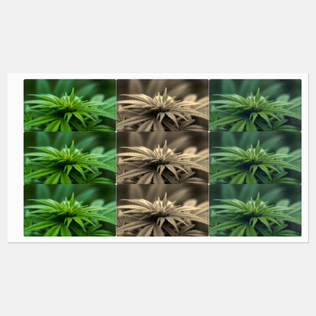 Étiquettes Belle mauvaise herbe (Feuille)