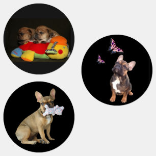 Étiquettes Bouledogue français chiots mignons French Bulldog