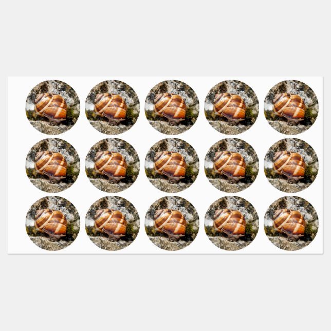 Étiquettes Burgundy snail (Feuille)