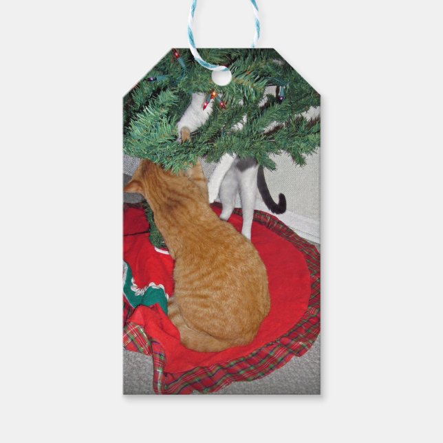 Étiquettes-cadeau 12 Escalade de chats (Devant)