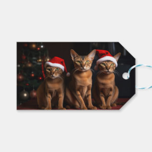 Étiquettes-cadeau Abyssinian près de la cheminée Noël