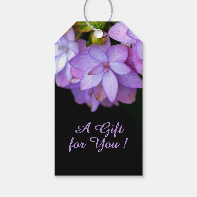 Étiquettes-cadeau Acheter de nombreuses fleurs violettes pétalées un (Devant)